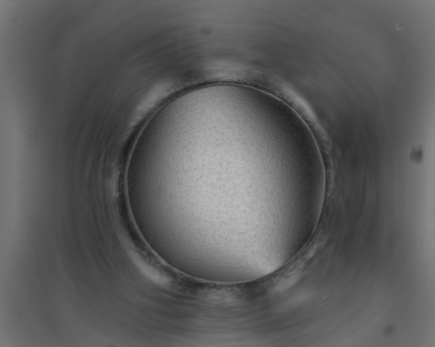 X0000094810106200711241455