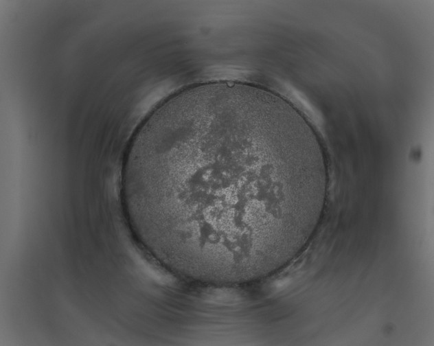 X0000094810107200711241455