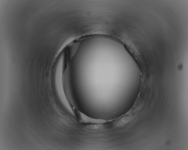 X0000094810108200711241455