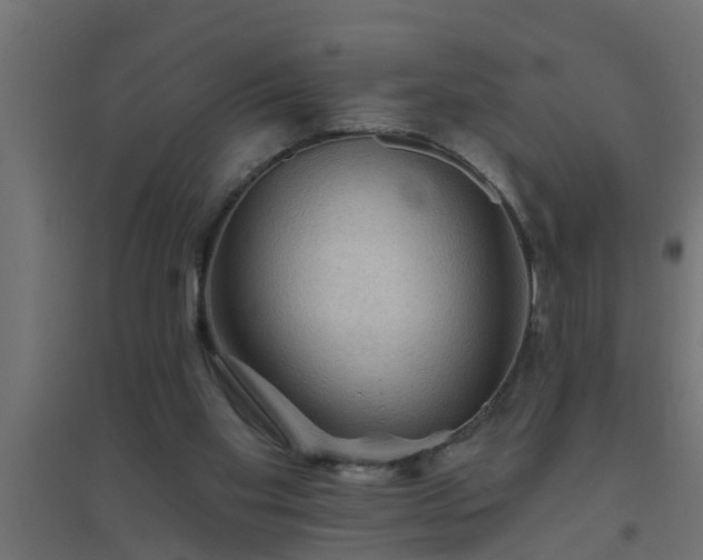 X0000094810109200711241455