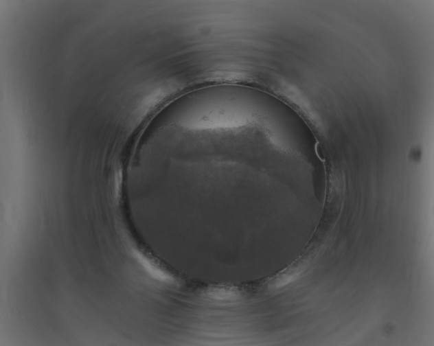 X0000094810110200711241455