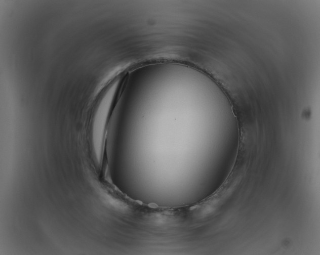 X0000094810112200711241455