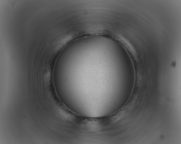 X0000094810113200711241455