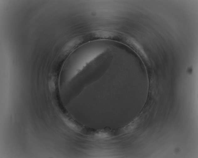 X0000094810114200711241454