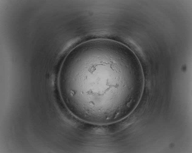 X0000094810115200711241454