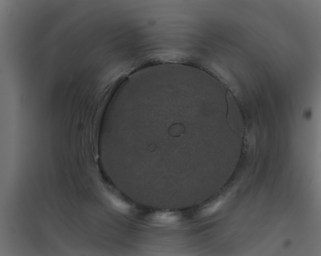 X0000094810117200711241454