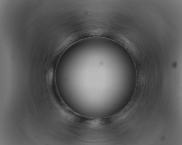 X0000094810118200711241454