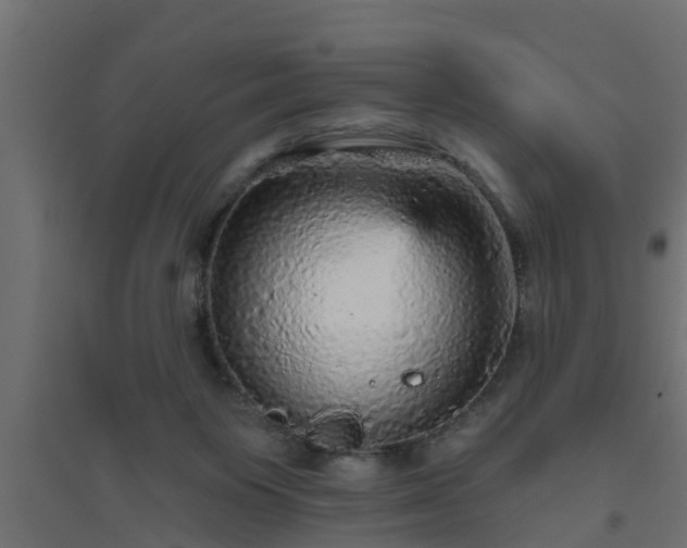 X0000094810119200711241454