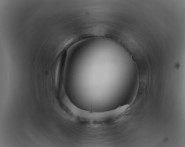 X0000094810120200711241454