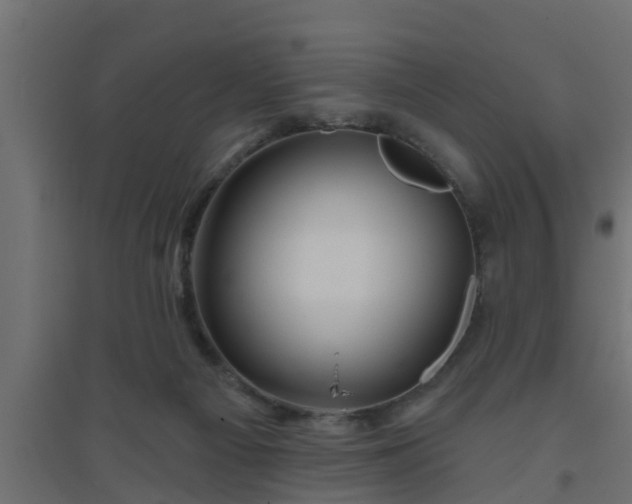 X0000094810121200711241454