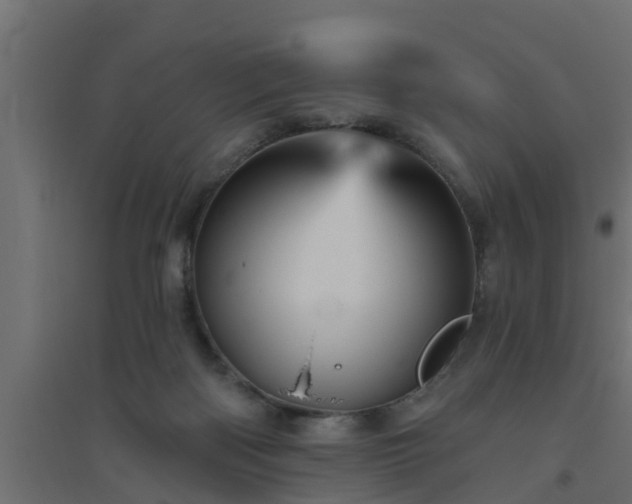 X0000094810122200711241454