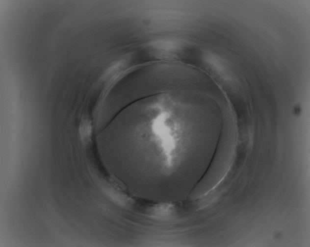 X0000094810124200711241454