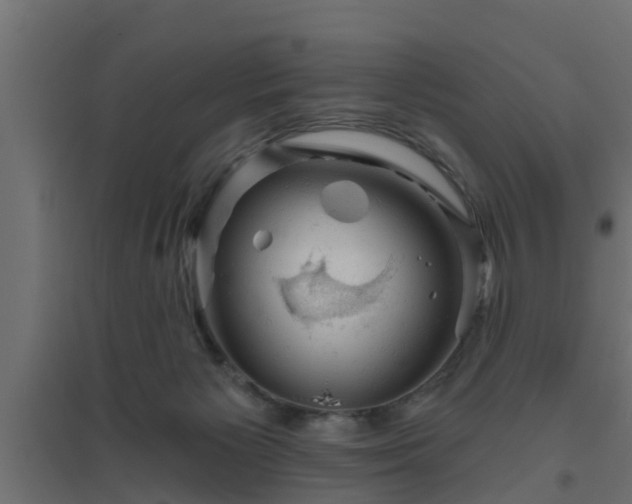 X0000094810125200711241454