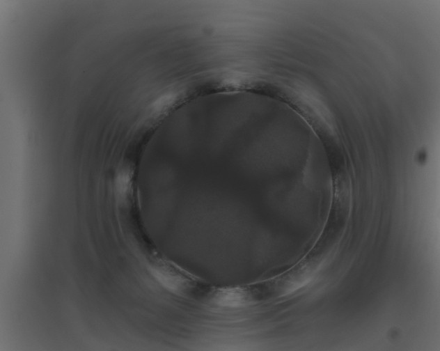 X0000094810127200711241454