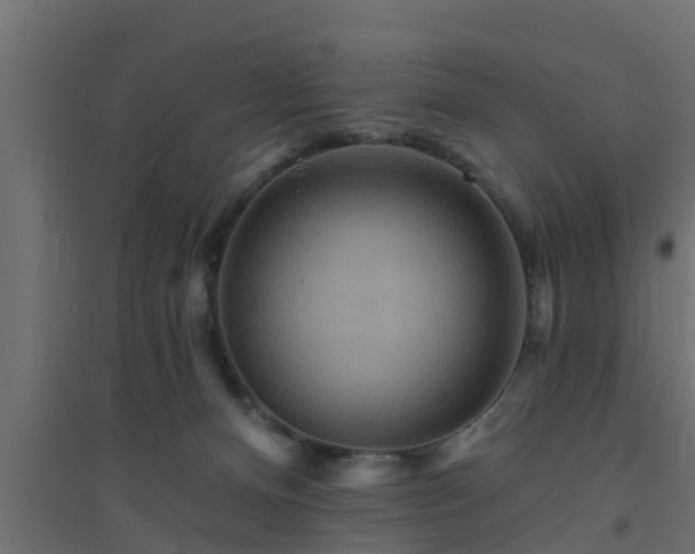 X0000094810128200711241454