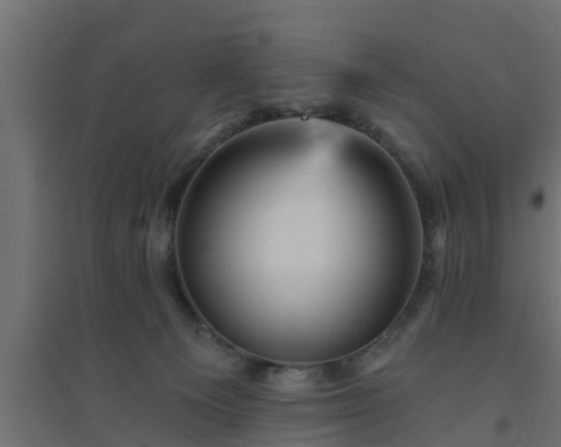 X0000094810129200711241454