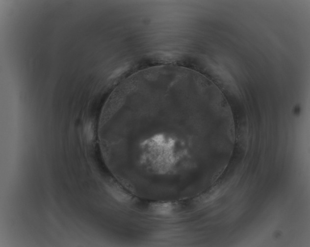 X0000094810131200711241454