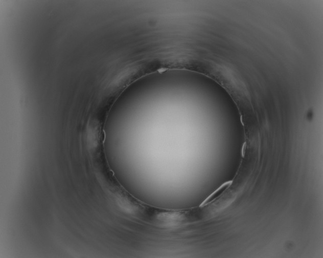 X0000094810133200711241454