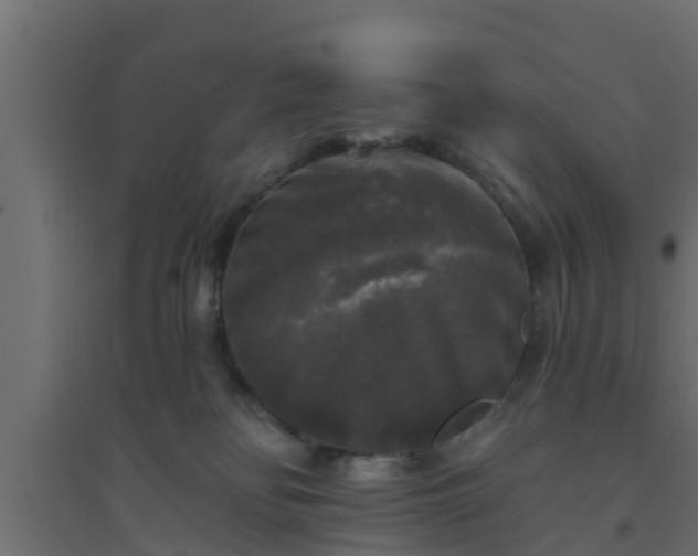 X0000094810134200711241454