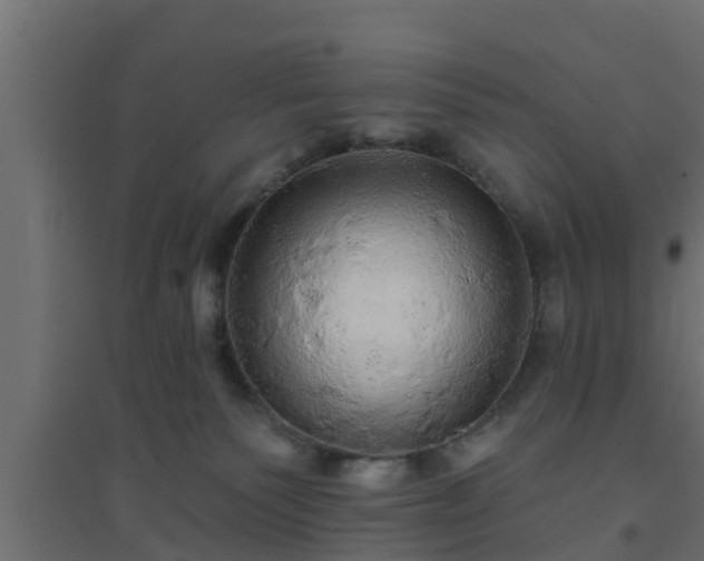 X0000094810135200711241454