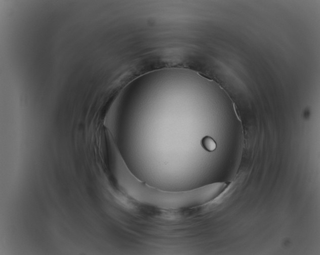 X0000094810136200711241454