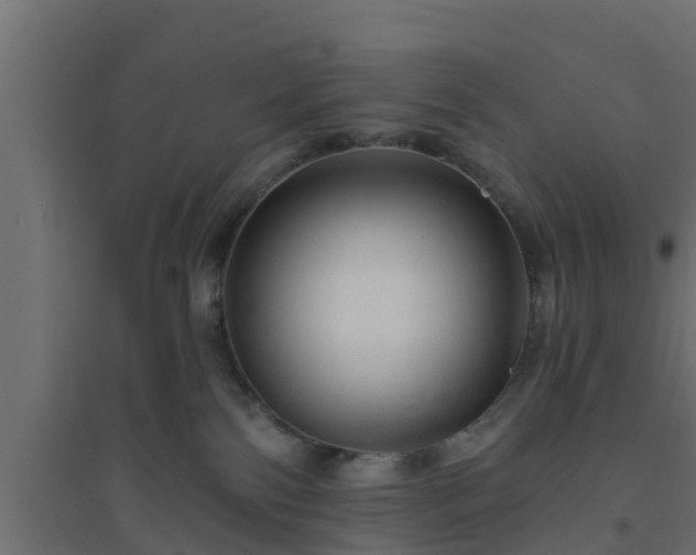 X0000094810138200711241454