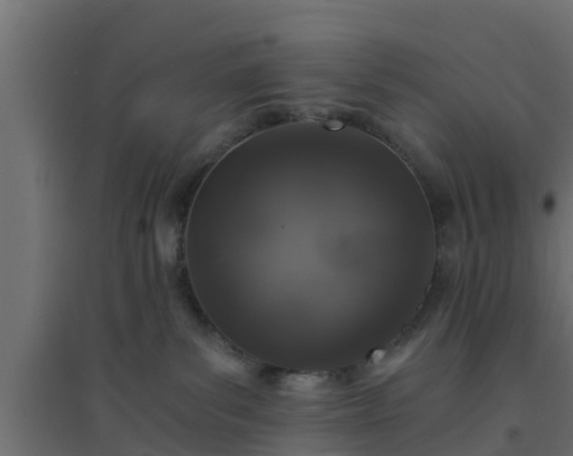 X0000094810139200711241454