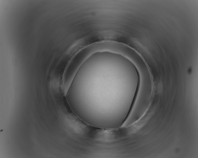 X0000094810140200711241454