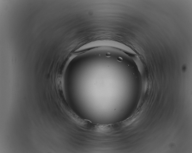 X0000094810141200711241454