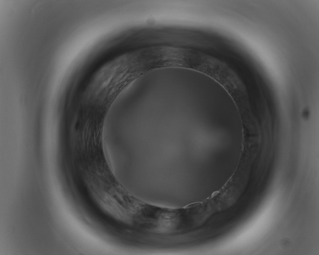 X0000094810143200711241454