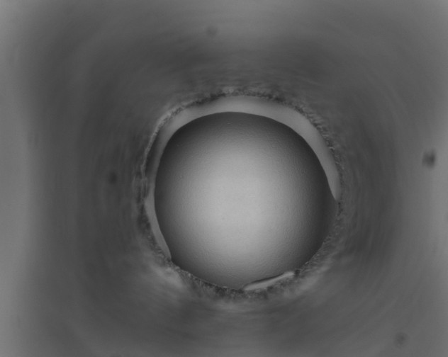 X0000094810144200711241454