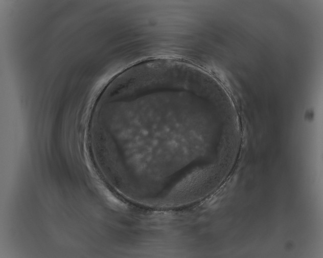 X0000094810145200711241453