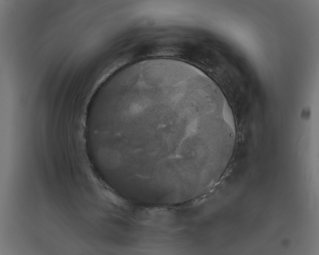 X0000094810146200711241453