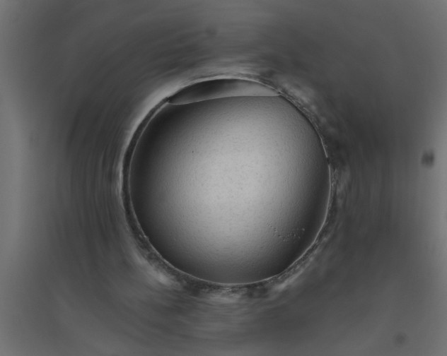 X0000094810148200711241453