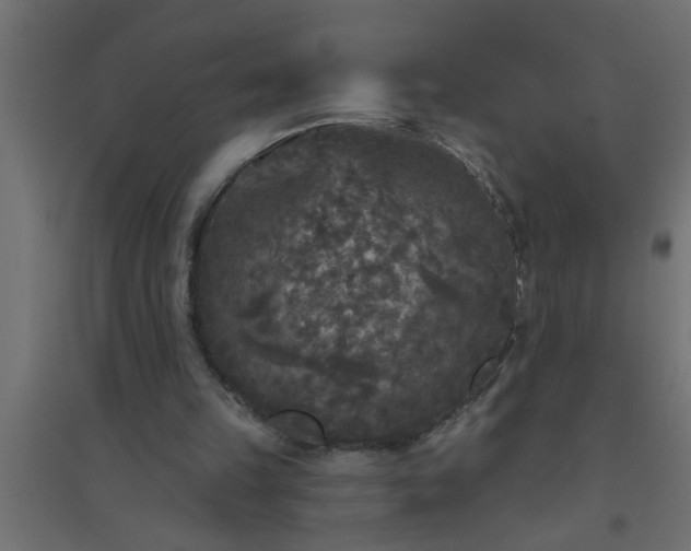 X0000094810149200711241453