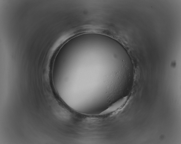 X0000094810150200711241453