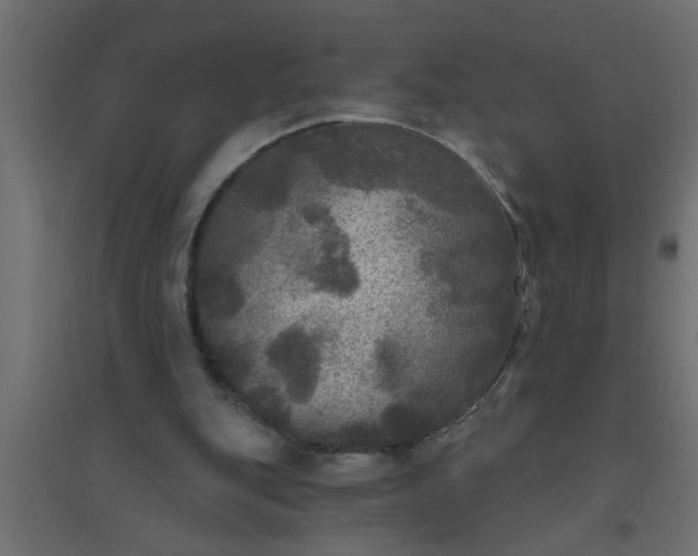 X0000094810151200711241454