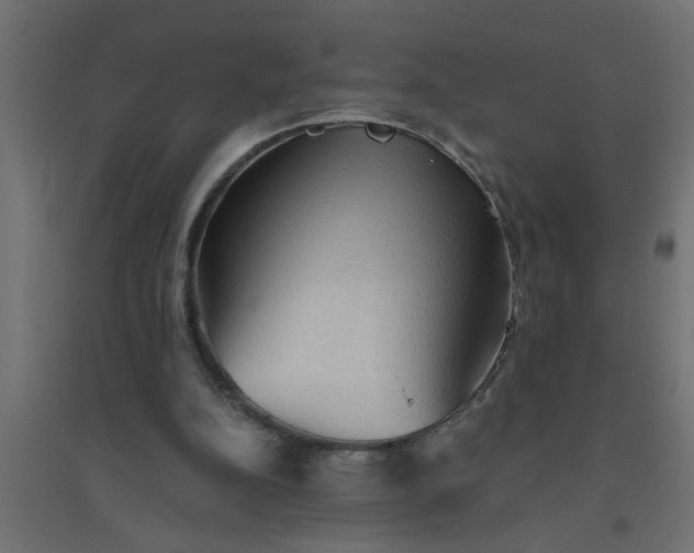 X0000094810152200711241454