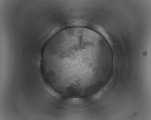 X0000094810153200711241454