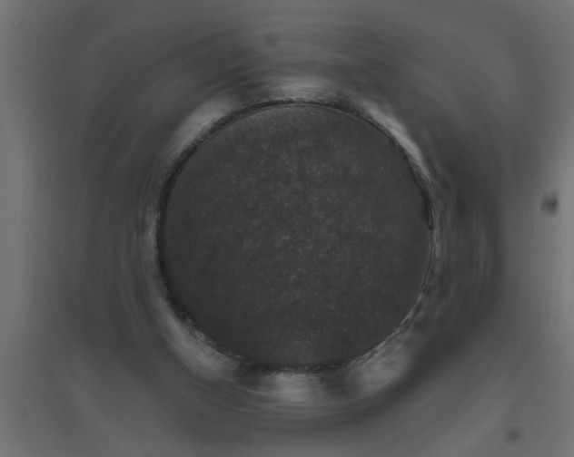 X0000094810154200711241454