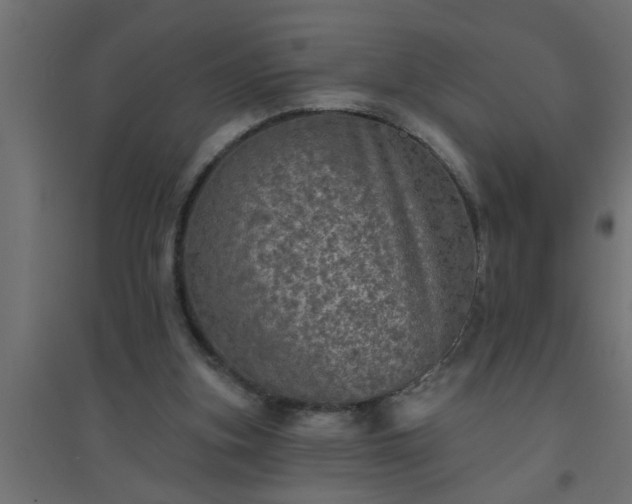 X0000094810155200711241454