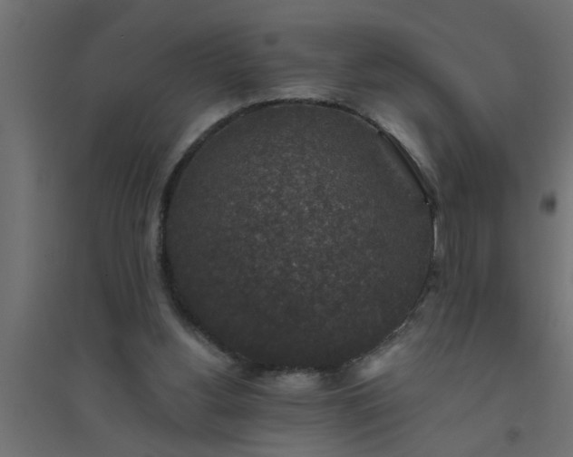 X0000094810156200711241454