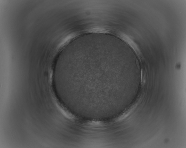 X0000094810157200711241454