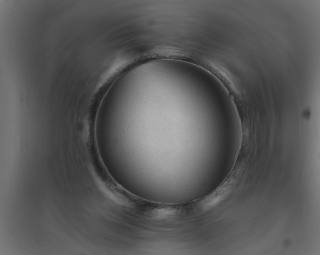 X0000094810158200711241454