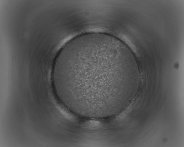 X0000094810159200711241454