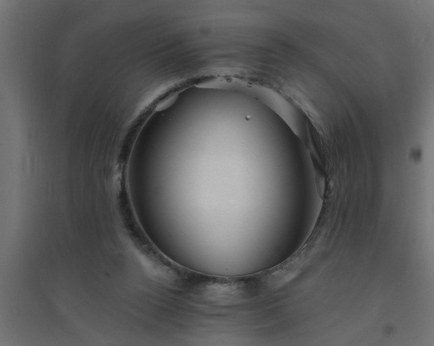 X0000094810160200711241454