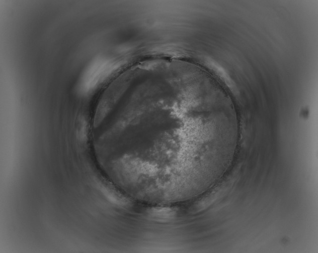 X0000094810161200711241454