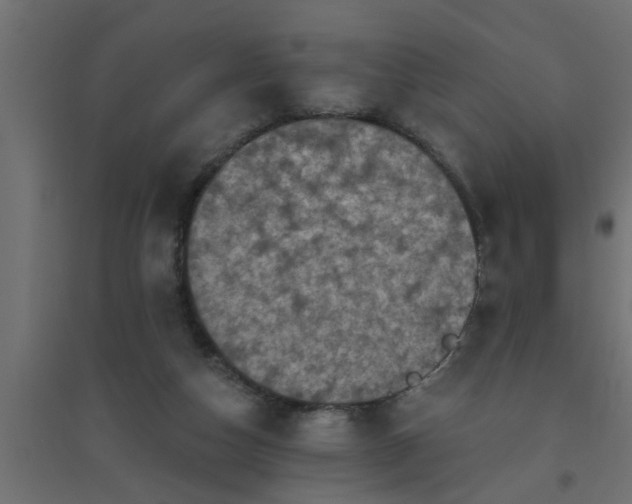 X0000094810162200711241454