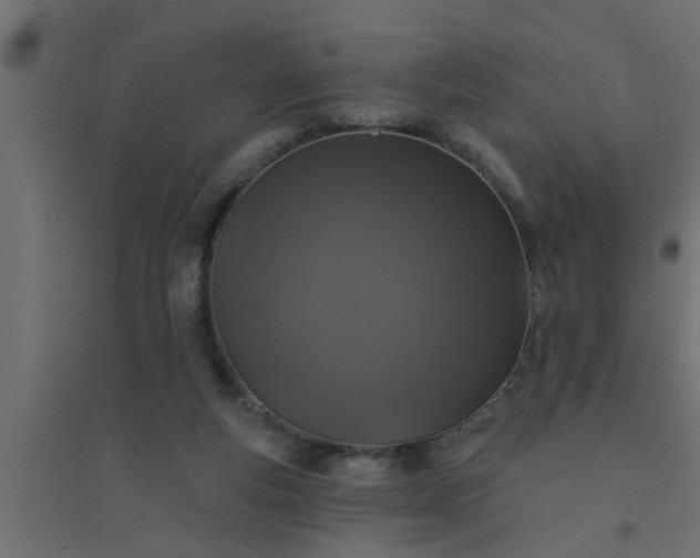 X0000094810163200711241454