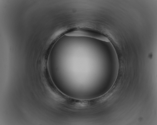 X0000094810164200711241454